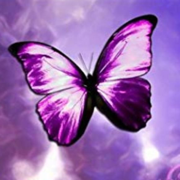 buttrfly0216